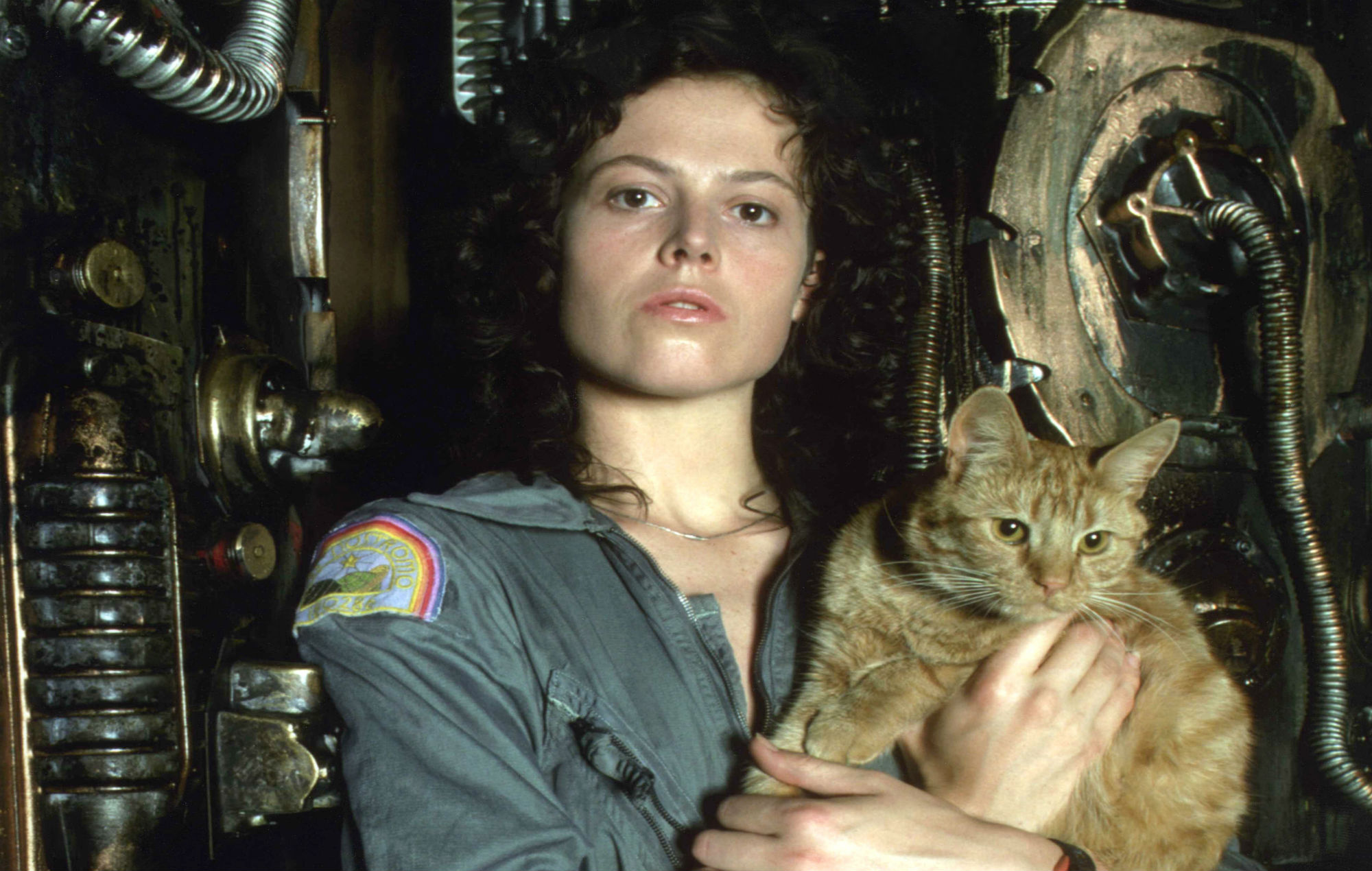 Jonesy the cat with Sigourney Weaver in Alien (1979)