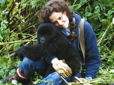 Gorillas in the Mist - Sigourney Weaver