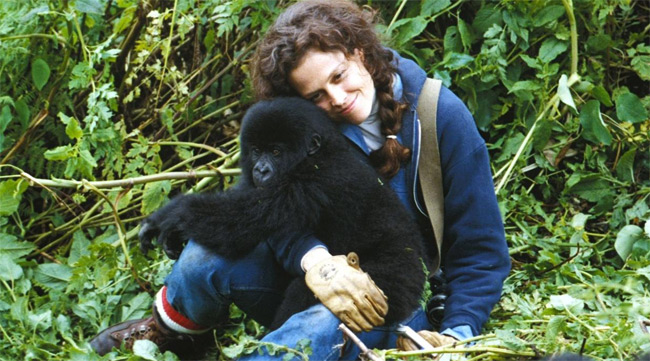 Gorillas in the Mist - Sigourney Weaver