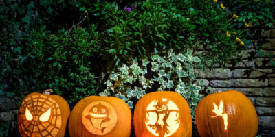 Carved pumpkins at Halloween