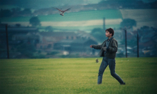 David Bradley working with the kestrel in Kes against the industrial backdrop of Yorkshire.